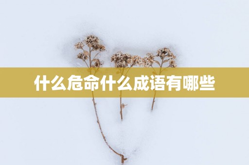 什么危命什么成语有哪些