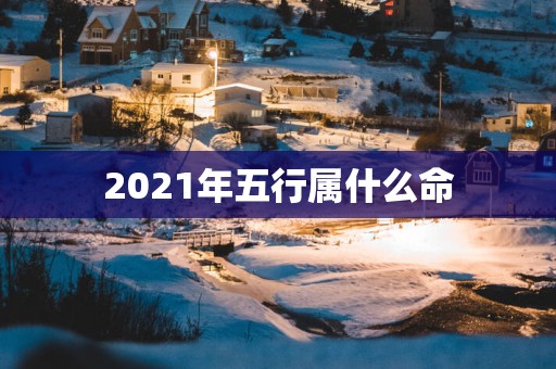 2025年五行属什么命