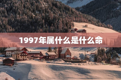 1997年属什么是什么命