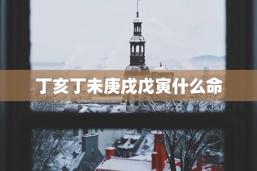 丁亥丁未庚戌戊寅什么命