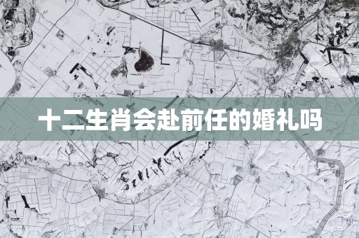 十二生肖会赴前任的婚礼吗
