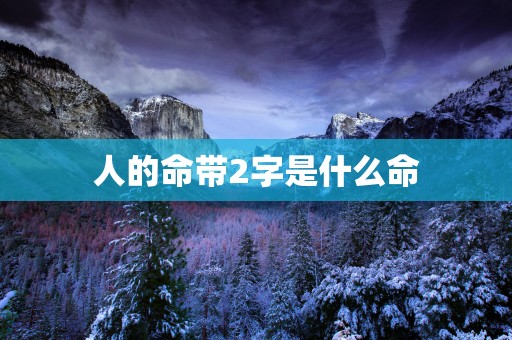 人的命带2字是什么命