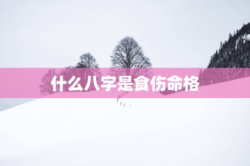 什么八字是食伤命格