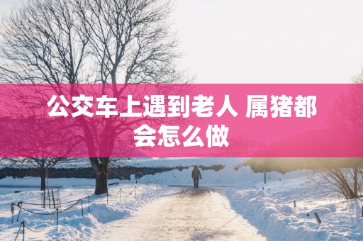 公交车上遇到老人 属猪都会怎么做