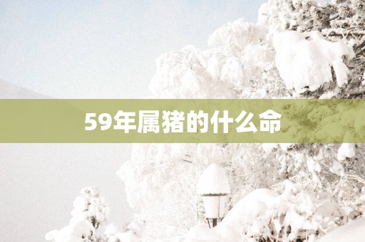 59年属猪的什么命