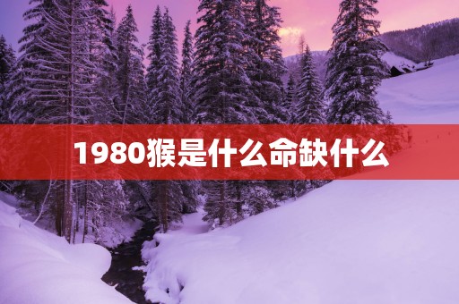 1980猴是什么命缺什么