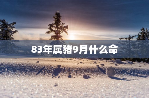 83年属猪9月什么命