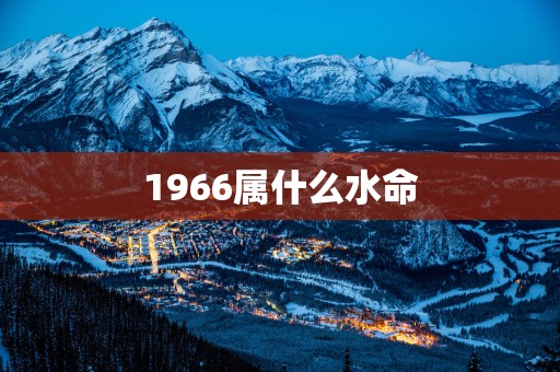1966属什么水命