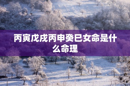 丙寅戊戌丙申癸巳女命是什么命理