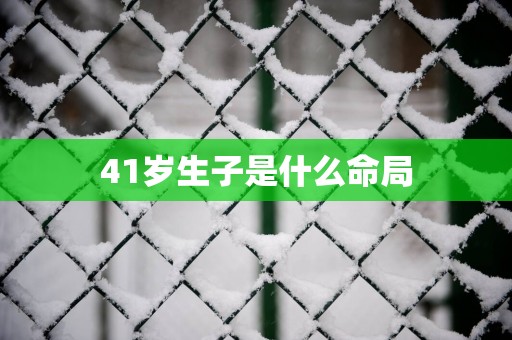 41岁生子是什么命局