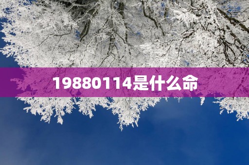 19880114是什么命