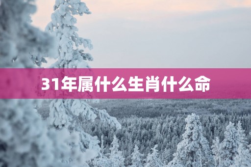 31年属什么生肖什么命