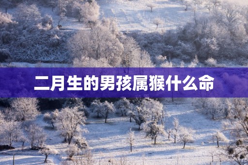 二月生的男孩属猴什么命