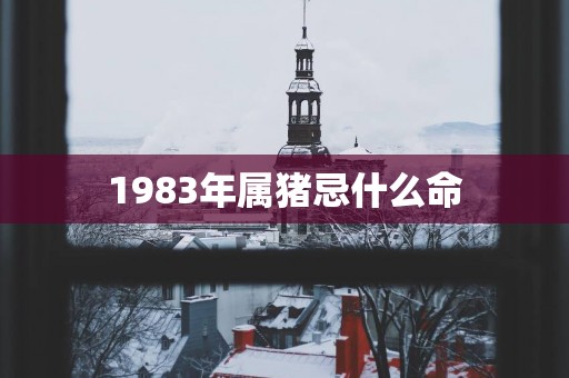 1983年属猪忌什么命