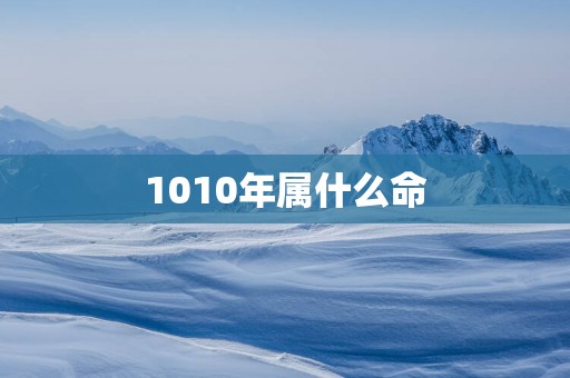 1010年属什么命