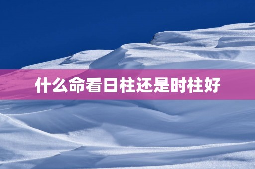 什么命看日柱还是时柱好