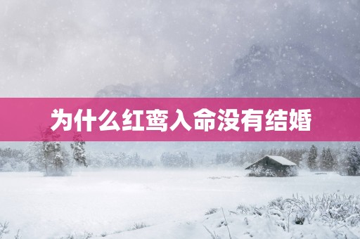 为什么红鸾入命没有结婚
