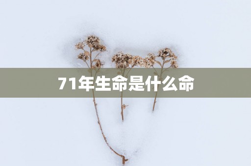 71年生命是什么命