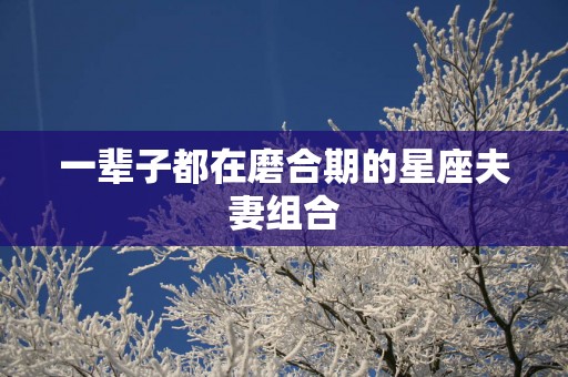 一辈子都在磨合期的星座夫妻组合