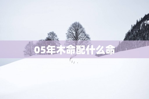 05年木命配什么命