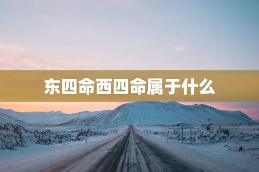 东四命西四命属于什么