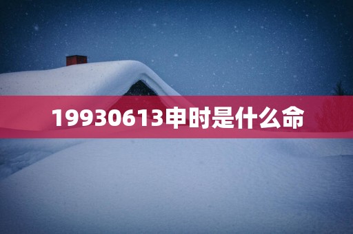 19930613申时是什么命