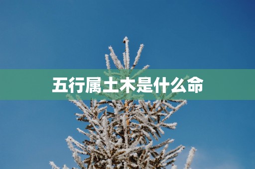 五行属土木是什么命