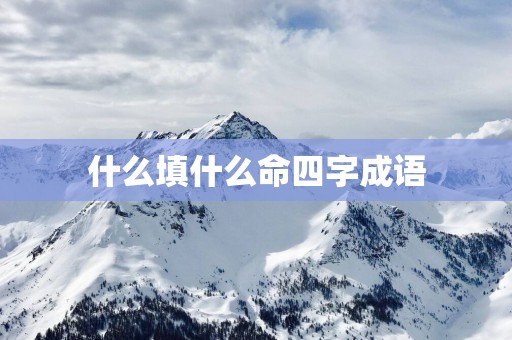什么填什么命四字成语