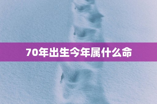 70年出生今年属什么命