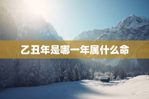 乙丑年是哪一年属什么命