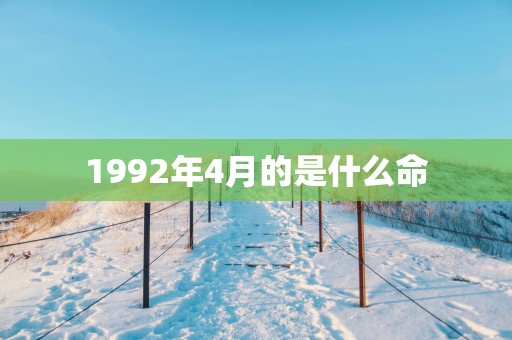 1992年4月的是什么命
