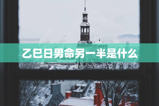 乙巳日男命另一半是什么