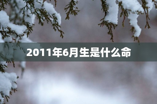 2011年6月生是什么命