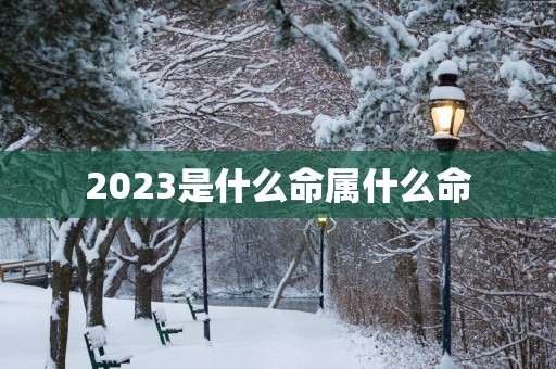 2025是什么命属什么命