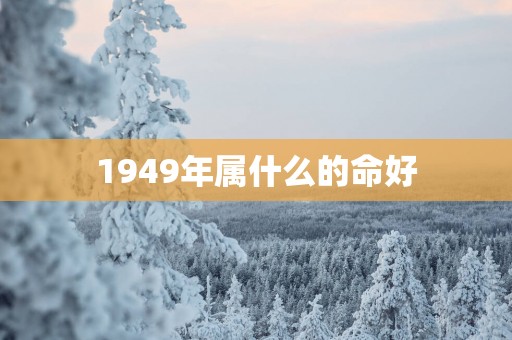 1949年属什么的命好