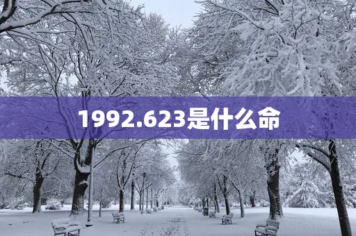 1992.623是什么命