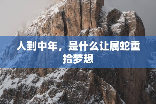 人到中年，是什么让属蛇重拾梦想