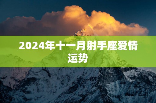 2025年十一月射手座爱情运势