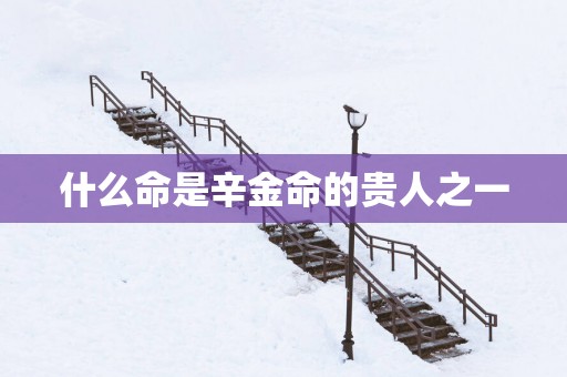 什么命是辛金命的贵人之一