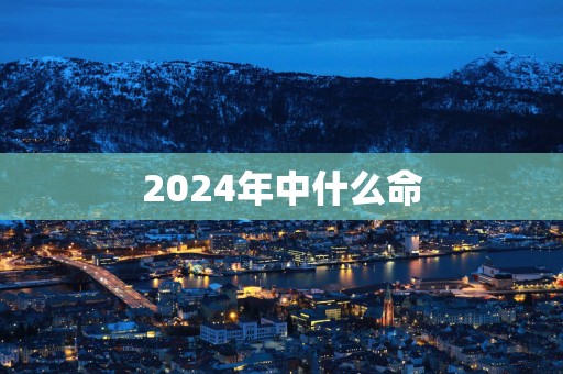 2025年中什么命