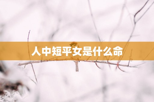 人中短平女是什么命