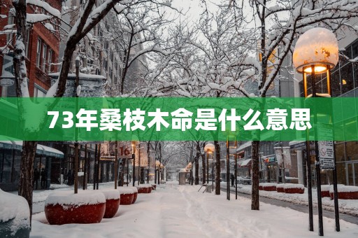 73年桑枝木命是什么意思