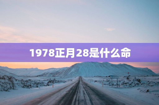 1978正月28是什么命