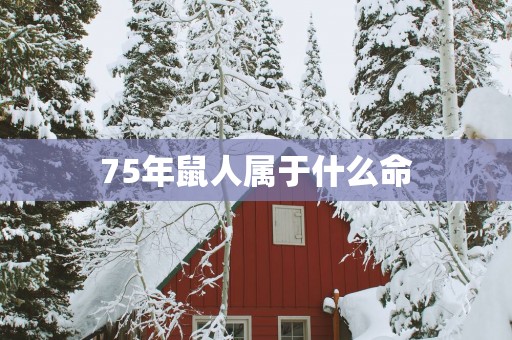 75年鼠人属于什么命