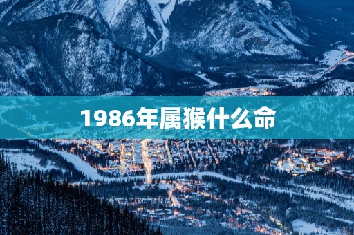 1986年属猴什么命