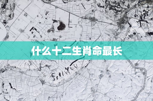 什么十二生肖命最长