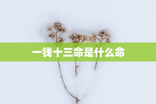 一钱十三命是什么命