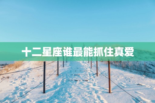 十二星座谁最能抓住真爱