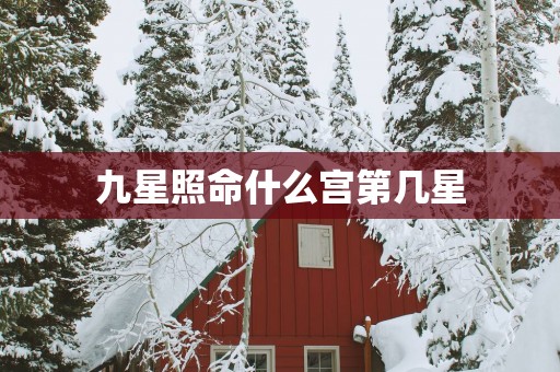九星照命什么宫第几星