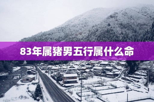 83年属猪男五行属什么命